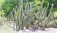 觀點 |40央企密集涌入環保產業 “前浪”如何看待“后浪”?